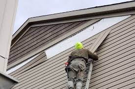 Best Siding Painting and Refinishing  in Midland City, AL